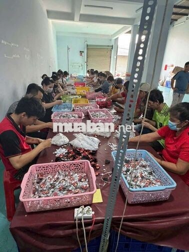 Tuyển 10 LĐPT - Lương tuần Dĩ An