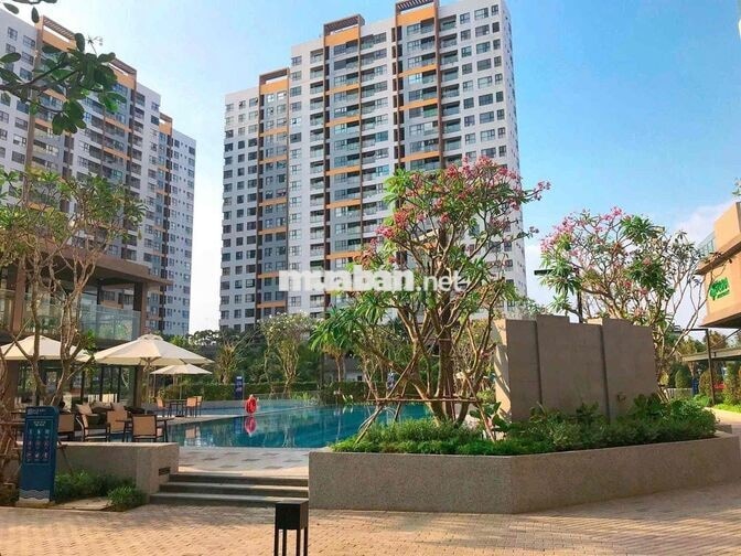 chính chủ cho thuê căn 58m2 MP6,7,8 giá 8,5tr vào ở ngay