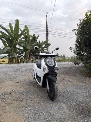 scoopy 2025 trắng bóng Indosia