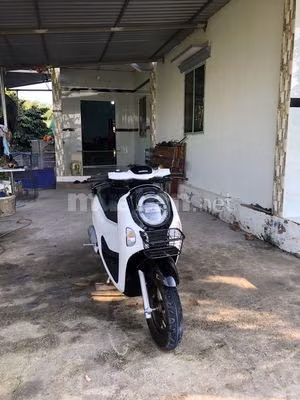 scoopy 2025 trắng bóng Indosia