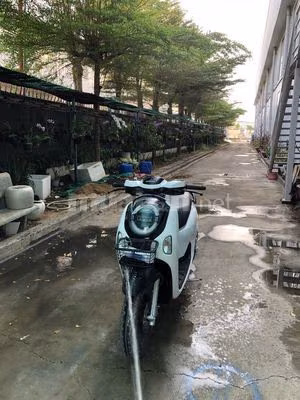 scoopy 2025 trắng bóng Indosia