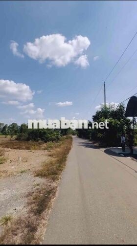 🔥 MÌNH CHÍNH CHỦ GỬI ACE MÔI GIỚI BÁN PHỤ – ĐẤT NGHĨA THÀNH 189M²