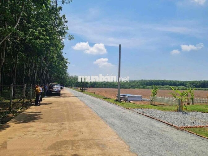 CHỈ 350 TRIỆU SỞ HỮU NGAY 1000m2 ĐẤT GẦN KCN BECAMEX CHƠN THÀNH