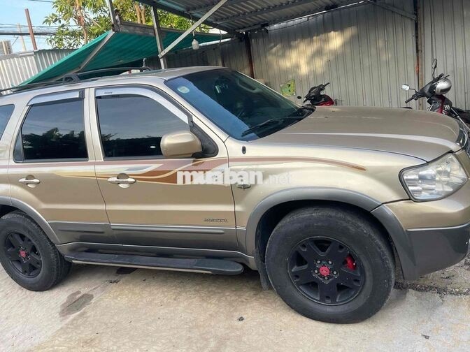 Ford Escape 5 chỗ màu Vàng cát