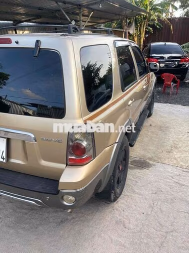 Ford Escape 5 chỗ màu Vàng cát