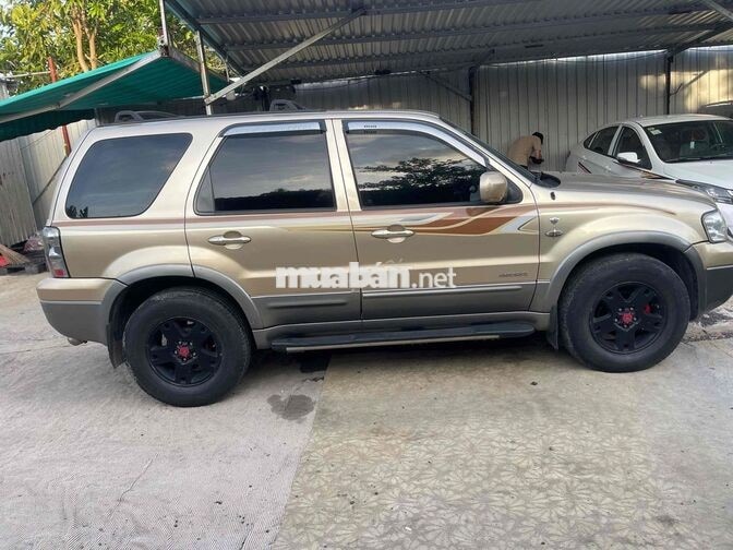 Ford Escape 5 chỗ màu Vàng cát