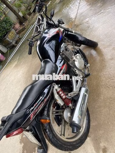 Suzuki EN 150