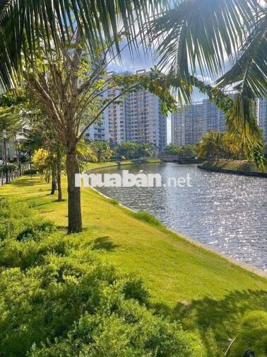 Cho thuê căn MP678, 2PN2WC, full nội thất, giá 11 triệu
