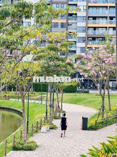 Cho thuê căn MP678, 2PN2WC, full nội thất, giá 11 triệu