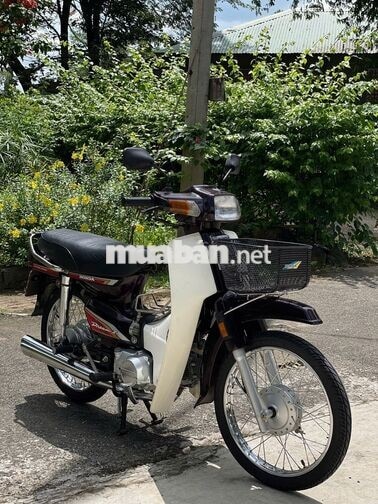 Honda Dream Thái 1994 dọn mới máy êm