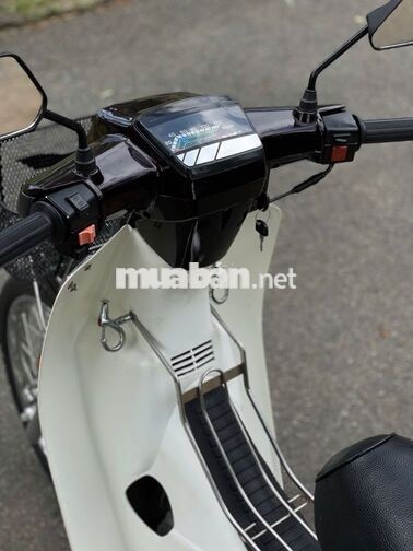 Honda Dream Thái 1994 dọn mới máy êm