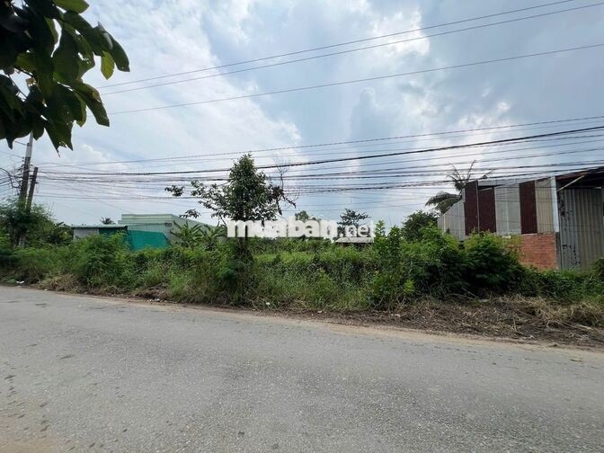 Bán đất chính chủ tại xã Bình Tâm, TP Tân An, Long An (Tây Ninh mới)