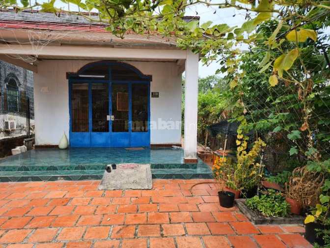 Nhà Vườn ngã 4 Suối Lội đang cho thuê 4tr tháng 232m2(7x33) SR 1.1 tỷ 