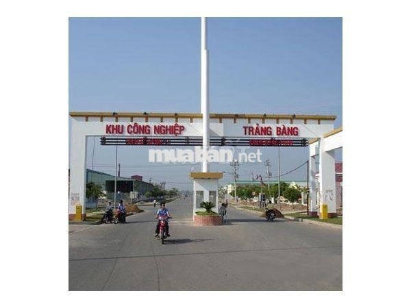 Đất ngay cổng sau KCX LinhTrung 3, chỉ 5 triệu/m2, 172m2 Sổ hồng riêng