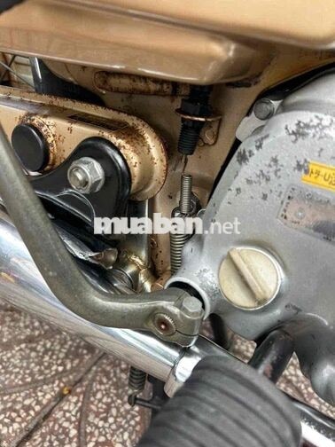 Honda Cub 82/90 Vàng đồng Tiền Giang