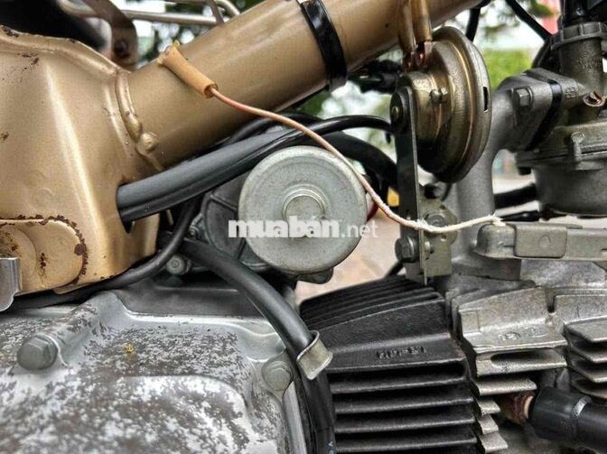 Honda Cub 82/90 Vàng đồng Tiền Giang