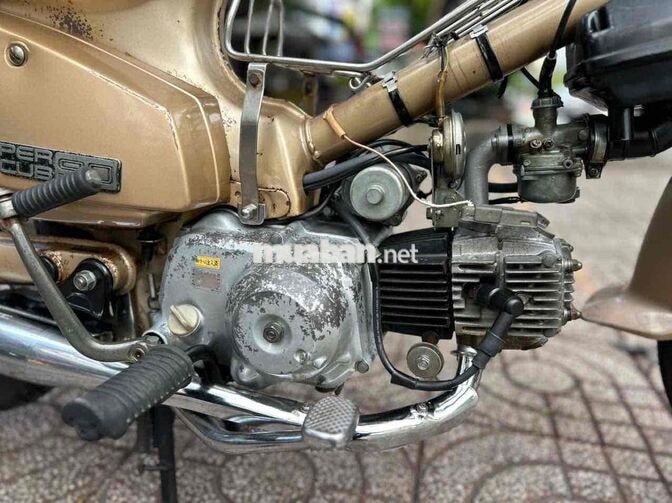Honda Cub 82/90 Vàng đồng Tiền Giang