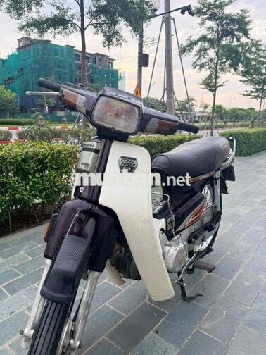 Honda Super Dream 2024 Nâu, Trắng Việt Nam