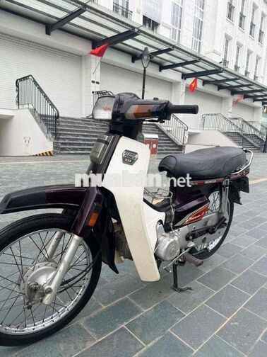 Honda Super Dream 2024 Nâu, Trắng Việt Nam