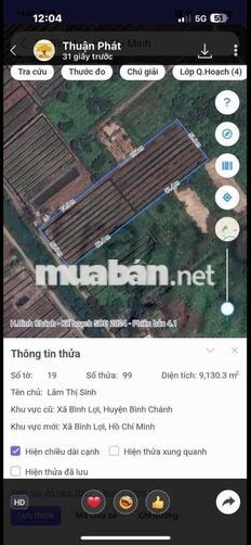 Vườn Mai 9130m2 Bình Chánh 3triệu/1m2 đường xe tải sổ hồng riêng