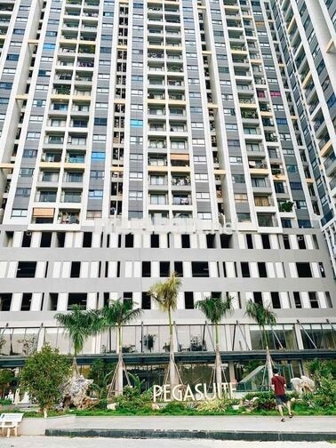 Giỏ hàng PEGASUITE 1 cho thuê | 8.5–16tr | Giá tốt thị trường