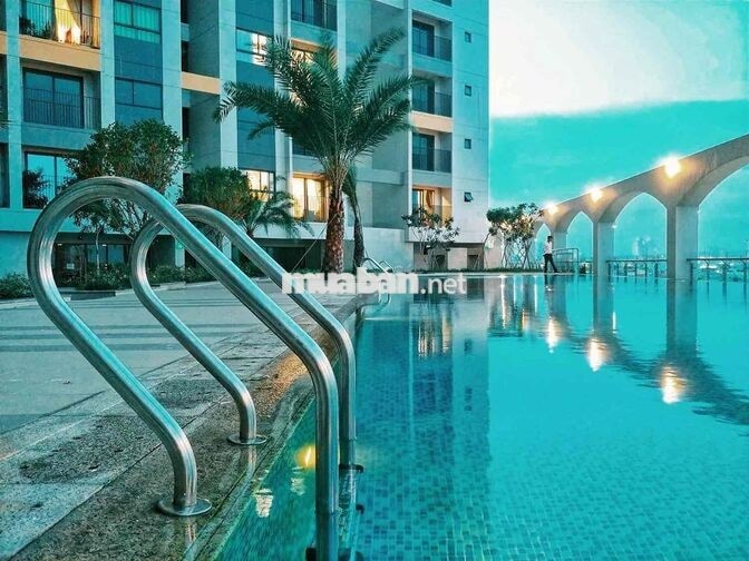 Giỏ hàng PEGASUITE 1 cho thuê | 8.5–16tr | Giá tốt thị trường