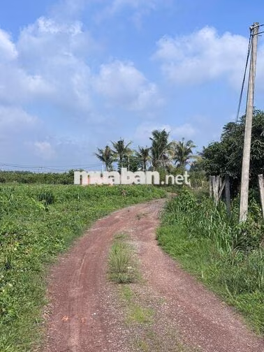 🌿BỎ PHỐ VỀ VƯỜN CHỈ VỚI 689 TRIỆU LÔ 1.1 SÀO LA NGÀ - ĐỒNG NAI