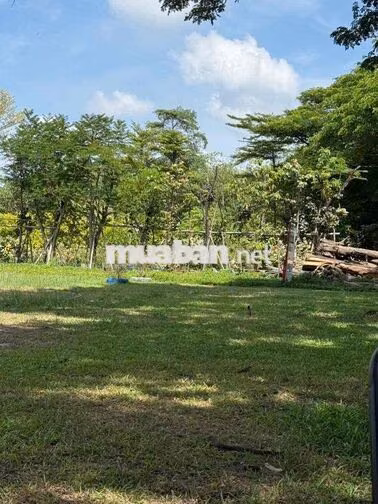 Bán căn hộ EcoXuan 2pn mặt tiền ql13 giá tốt