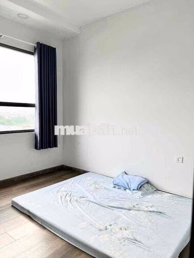 🔥 GIỎ HÀNG CHO THUÊ CĂN HỘ THE PEGASUITE 2 – QUẬN 8 1PN 2PN ***