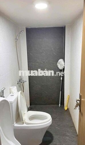 264 ✨ 🏡 CHO THUÊ NHÀ 3 TẦNG MẶT TIỀN THANH THỦY