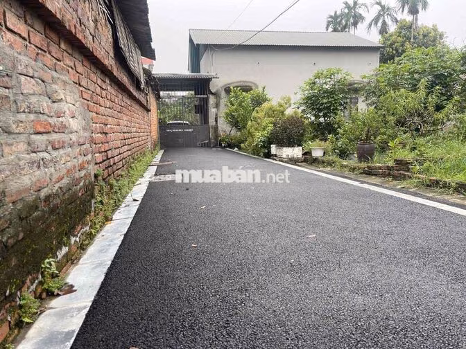🔥HƯỞNG ỨNG TINH THẦN VIỆT NAM VÔ ĐỊCH ❗️ CHỦ GIẢM SÂU CHO KHÁCH: 61M VÂ