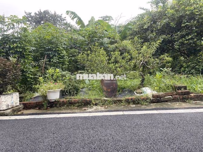 🔥HƯỞNG ỨNG TINH THẦN VIỆT NAM VÔ ĐỊCH ❗️ CHỦ GIẢM SÂU CHO KHÁCH: 61M VÂ