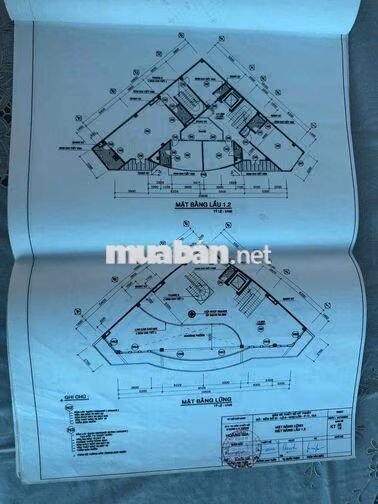 Tổng diện tích sử dụng: 1000m² Mặt tiền rộng 20m Kết cấu: 1 hầm – 1 tr
