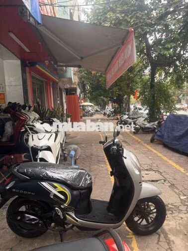 Honda Scoopy 2024 Đen, Bạc Indonesia
