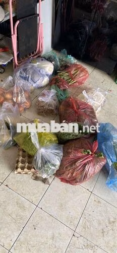 tuyển thêm 1 shipper chở rau củ quả bình chánh