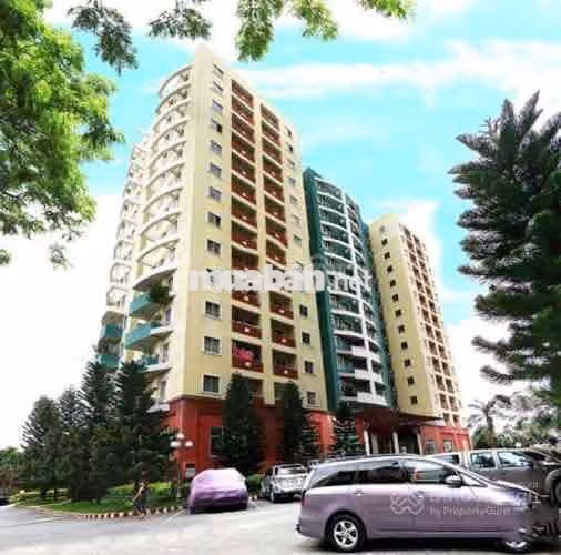 🌟 CHÍNH CHỦ BÁN: CĂN HỘ 81M² CAO ỐC AN LẠC - SỔ HỒNG RIÊNG