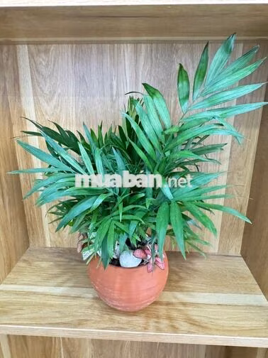 BÁN GẤP NHÀ HƯƠNG LỘ 2 BÌNH TÂN HẺM 3M – 2 TẦNG FULL NỘI THẤT 2,86T TL