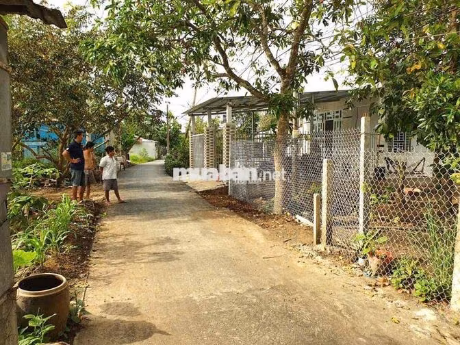 Bán đất cách chợ Phong Điền 500m, có view sông thuộc sở hữu 7,9x 41,5