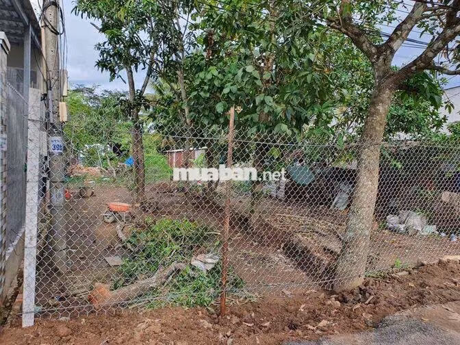 Bán đất cách chợ Phong Điền 500m, có view sông thuộc sở hữu 7,9x 41,5