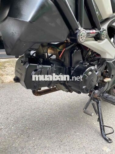 Ducati Monster mini 2017 Trắng Việt Thái