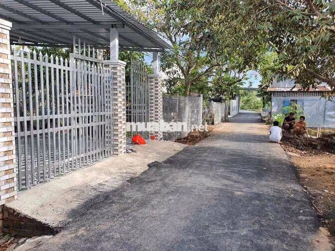 Bán đất cách chợ Phong Điền 500m, có view sông thuộc sở hữu 7,9x 41,5