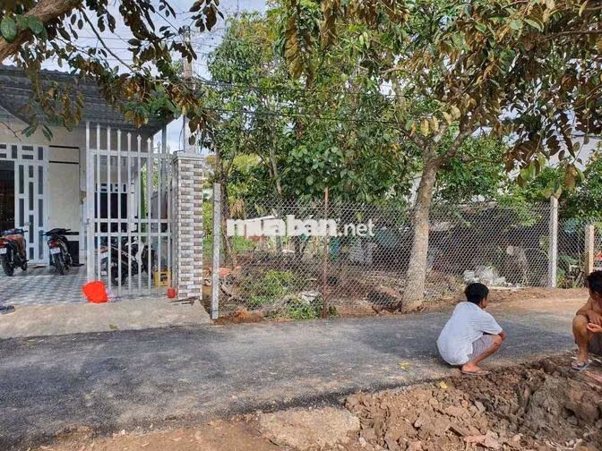 Bán đất cách chợ Phong Điền 500m, có view sông thuộc sở hữu 7,9x 41,5