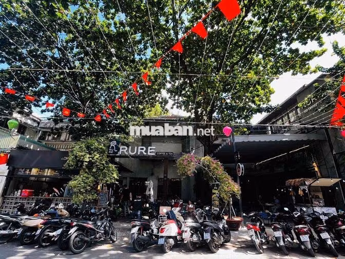 CHO THUÊ BIỆT THỰ SÂN VƯỜN 400m2 TÂN ĐỊNH QUẬN 1