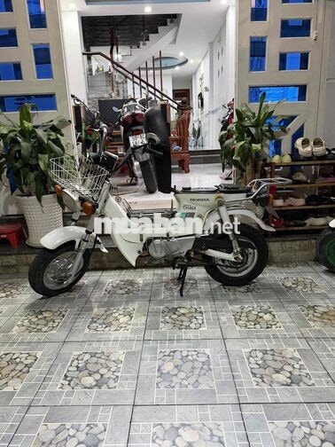 Honda Chaly 1981 50cc Trắng