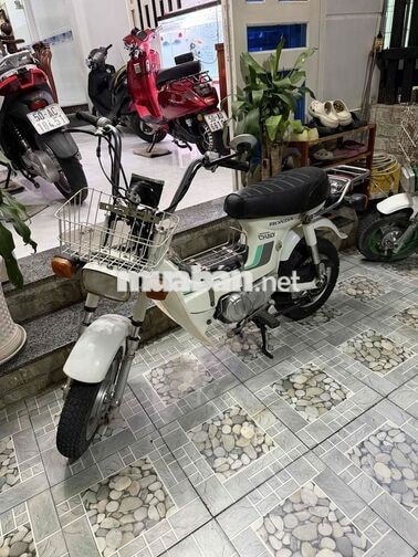 Honda Chaly 1981 50cc Trắng