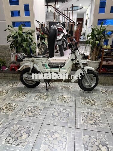 Honda Chaly 1981 50cc Trắng