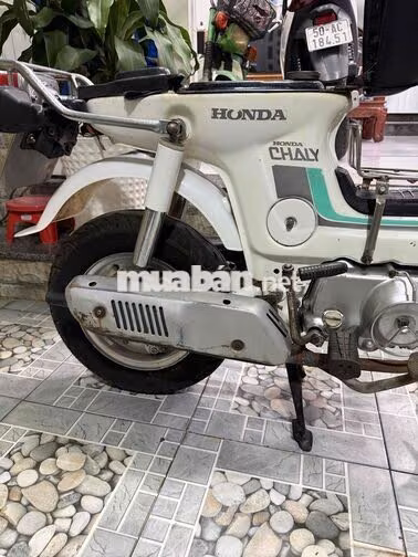 Honda Chaly 1981 50cc Trắng