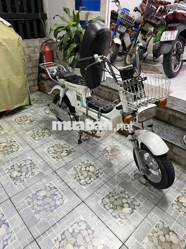 Honda Chaly 1981 50cc Trắng