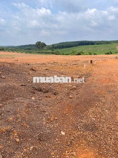 Chủ càn bán gấp lô 200m2 thổ cư 100m2
