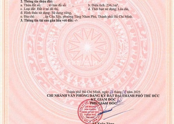 Bán cặp đất Hoàng Hữu Nam, Tăng Nhơn Phú, 388,5m², ngang 10,7m